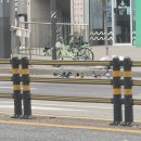 신우메디랜드(주) | 11월 4주_아 4주 뒤에 25년 끝이라고? 아 이곤 말이 않됮이;