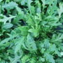 다정한 농장 이미지