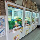 스마일 뽑기방 이미지