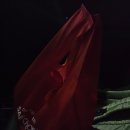 삼첩분식 수영점 | 삼첩분식 로제마라샹궈 후기,엽떡이랑 비교해보니 솔직히…