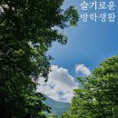 세븐스타코인노래연습장포항오천점 | 아이와 함께하는 슬기로운 여름방학생활 4일차.. 12일 남았다