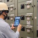 올리브 안전 이미지