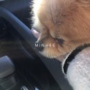 봉곡서로-1 이미지