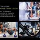 피트밀리 하양점 이미지