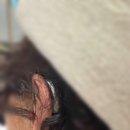 성북푸른보청기 이미지