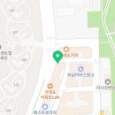 퍼피 비비드 강아지분양 하남미사본점 이미지