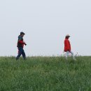 사구농장 이미지