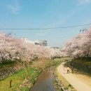 보금