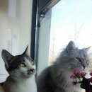 석촌역 2번출구 앞 이미지