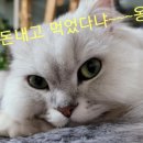 성창식당 이미지