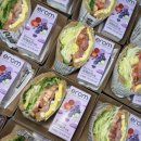 더플로우어린이집 이미지