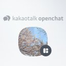 다운타운 Daum카페