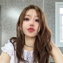 마젠타 이미지