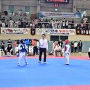 큰뿌리태권도 이미지