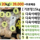 진토베기 Daum카페