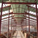 선진한우농장5 이미지