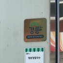 강릉 로컬 맛집 청송 장칼국수 후기｜장칼보다 군만두가 더 충격적이었던 집