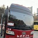 뉴아라고속관광 이미지