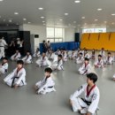 경희대 수 태권도장 이미지