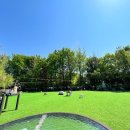 강아지놀이터 이미지