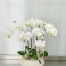 새순농장 | 3월 마즈나요? (농장 일지)