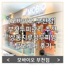 세이브존앞 | [모바이오 부천점] 부천두피관리 추천, 상동지루성두피염 탈모케어 후기