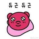 피브이에스테틱