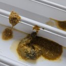 허그미동물병원 이미지