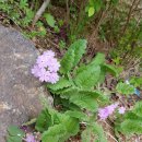 예움도서관 이미지