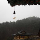 맑은바람 - 1030 | 맑은바람