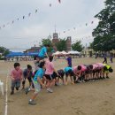 운봉초등학교 이미지