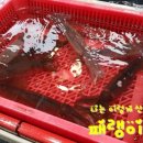 용궁농장 이미지