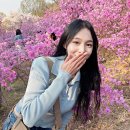 소사동 소로 1-167 | 서울 근교 꽃구경 부천 원미산 진달래동산 축제 일정(+주차팁)