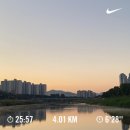 10월-11월 일기