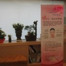 햇살나무한의원 이미지