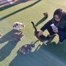 궁전콘도 모텔 이미지