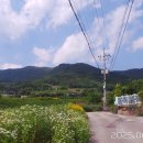 난동회관 이미지