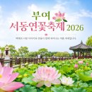 연꽃치맥 | 부여 서동연꽃축제 2026 !!! 궁남지 연꽃 길가에서 만나는 백제 사랑 이야기