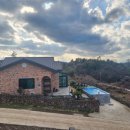 선샤인애월 이미지