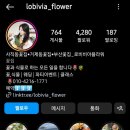 로비비아플라워