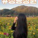 카페아바드;아바드커피 네이버블로그