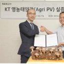 청운 태양광발전소 이미지