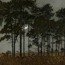 Phil Greenwood 이미지
