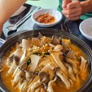 9988흑염소 - 876 | 9988흑염소