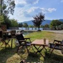 내촌애견 이미지