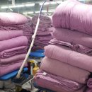 행운세탁 이미지