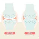 정글짐 서사라점 이미지