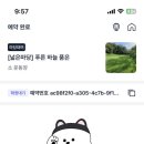 뜰애 이미지