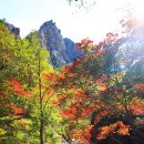 설악산가방 이미지