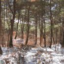 지리산농원
